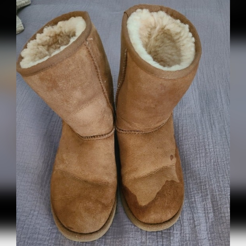 Uggs - image 1